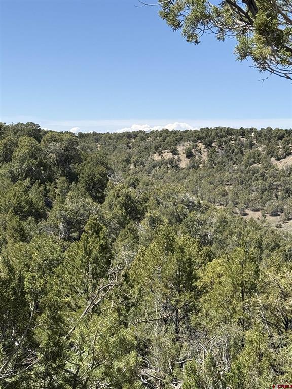 Tbd J8 Road Mancos CO 81328