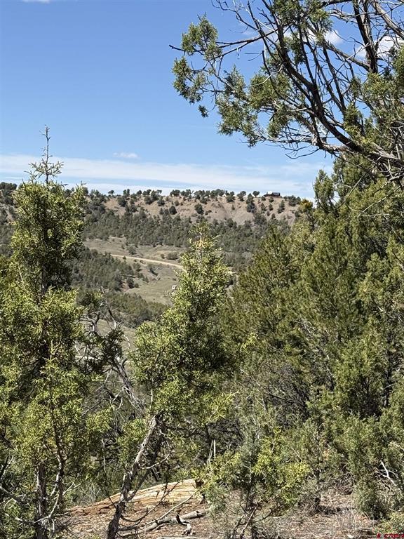 Tbd J8 Road Mancos CO 81328