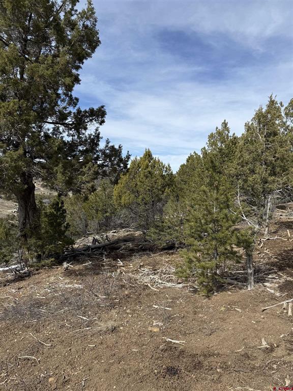 Tbd J8 Road Mancos CO 81328