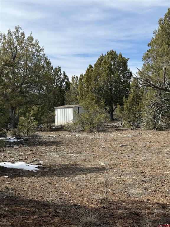 Tbd J8 Road Mancos CO 81328