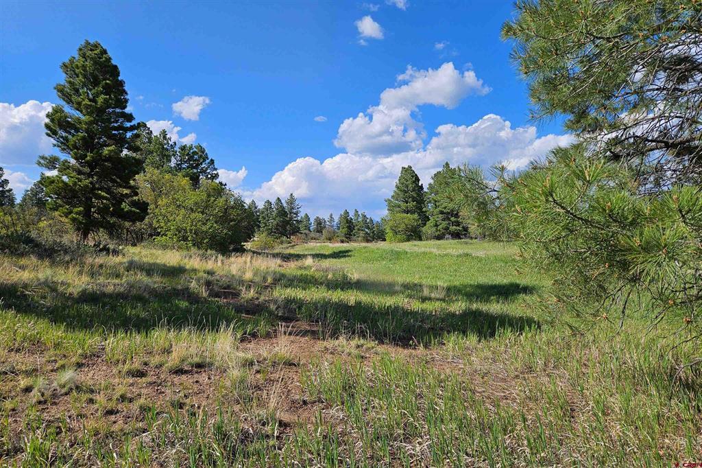 1305 Trails Boulevard Pagosa Springs CO 81147