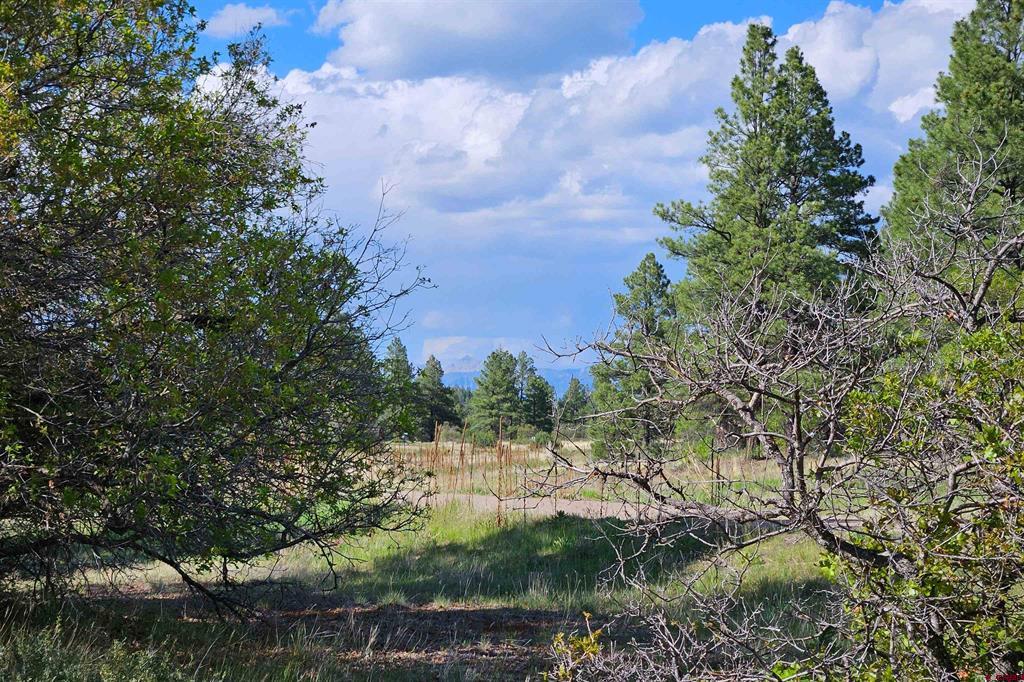 1305 Trails Boulevard Pagosa Springs CO 81147