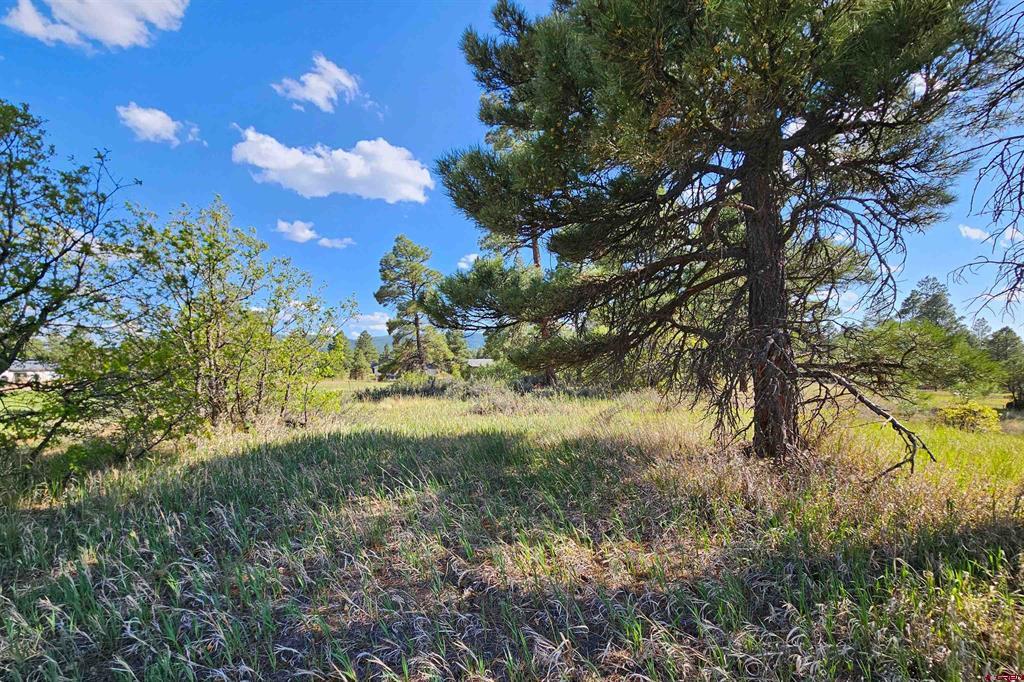 1305 Trails Boulevard Pagosa Springs CO 81147