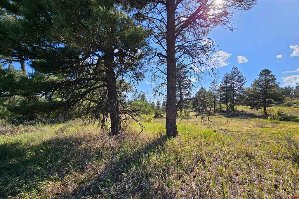 1305 Trails Boulevard Pagosa Springs CO 81147