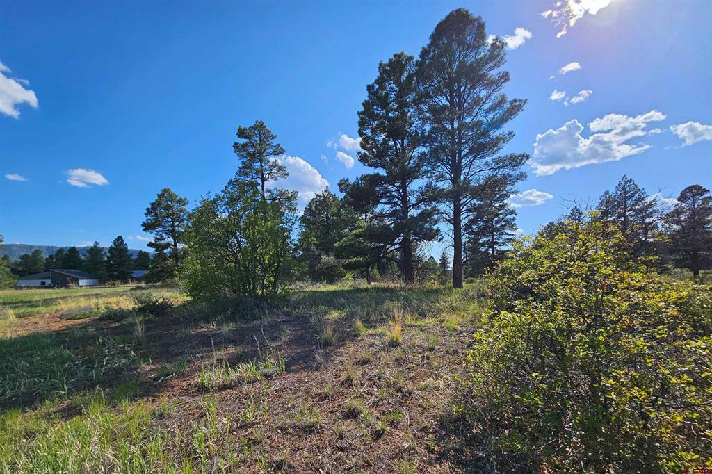 1305 Trails Boulevard Pagosa Springs CO 81147