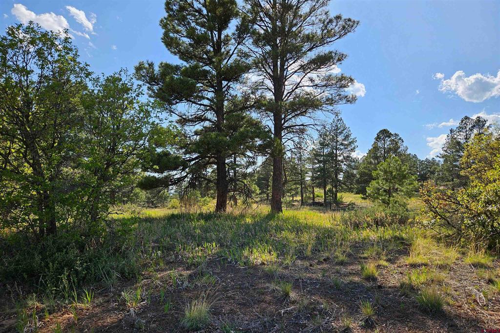 1305 Trails Boulevard Pagosa Springs CO 81147