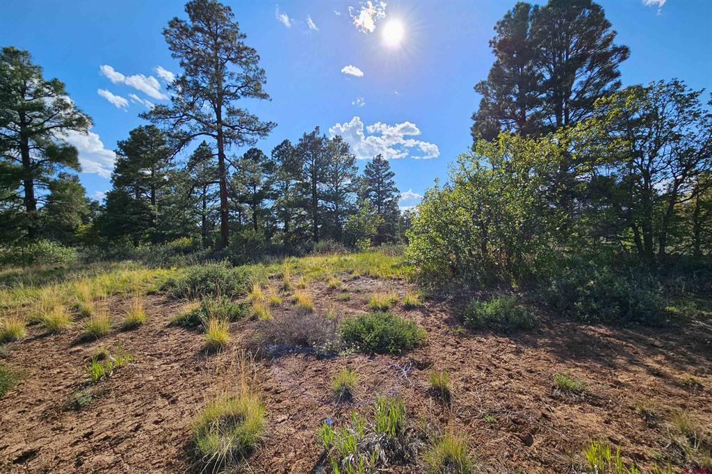 1305 Trails Boulevard Pagosa Springs CO 81147