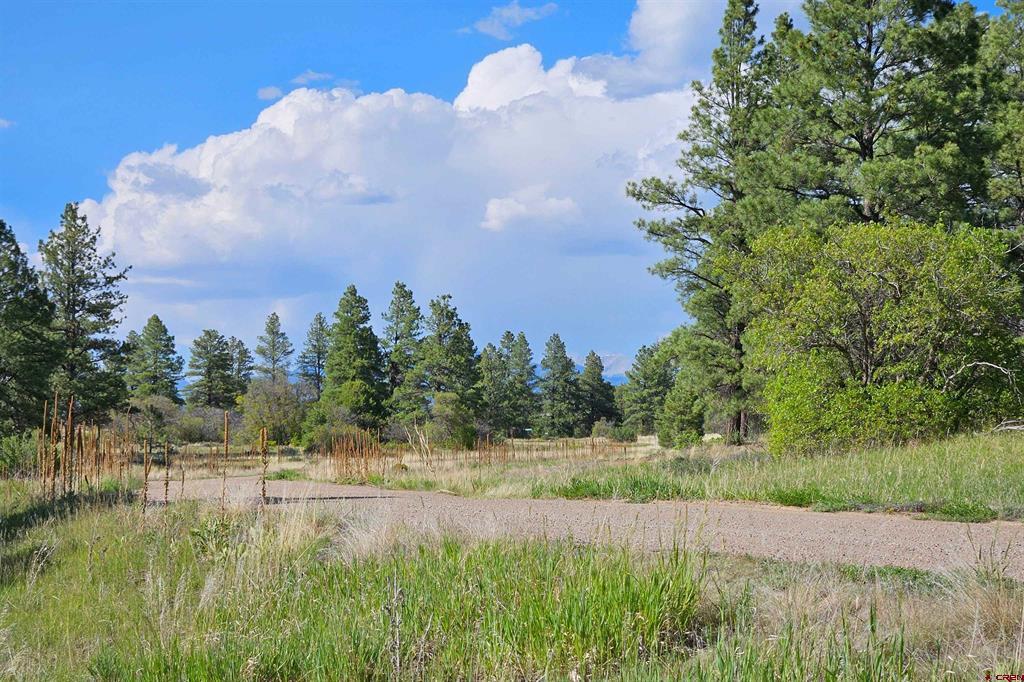 1305 Trails Boulevard Pagosa Springs CO 81147