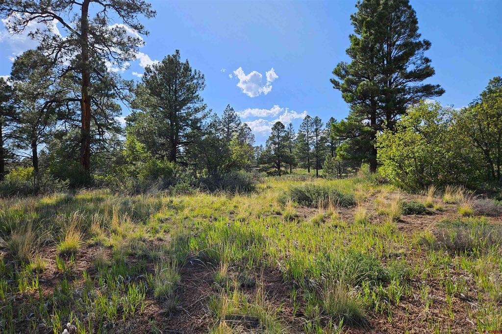 1305 Trails Boulevard Pagosa Springs CO 81147