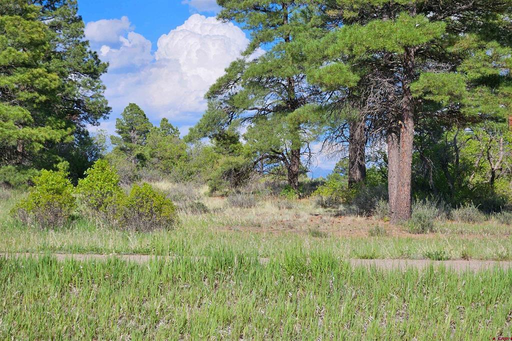 1305 Trails Boulevard Pagosa Springs CO 81147