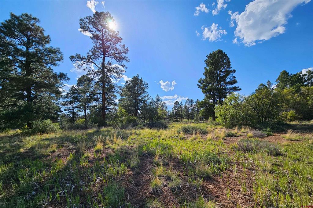 1305 Trails Boulevard Pagosa Springs CO 81147