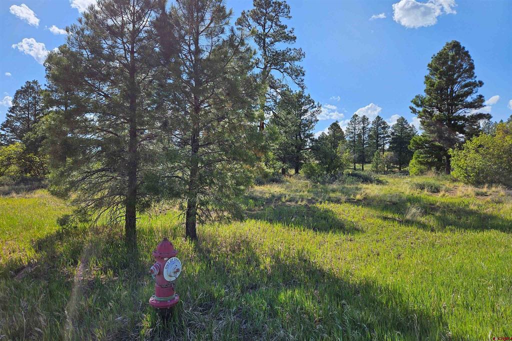 1305 Trails Boulevard Pagosa Springs CO 81147