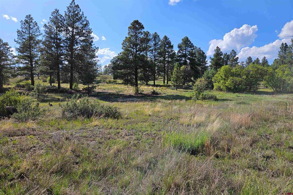 1305 Trails Boulevard Pagosa Springs CO 81147