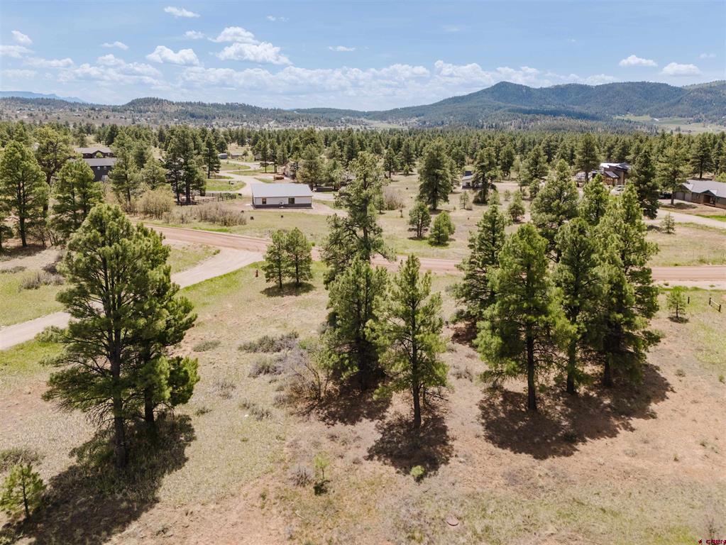1305 Trails Boulevard Pagosa Springs CO 81147