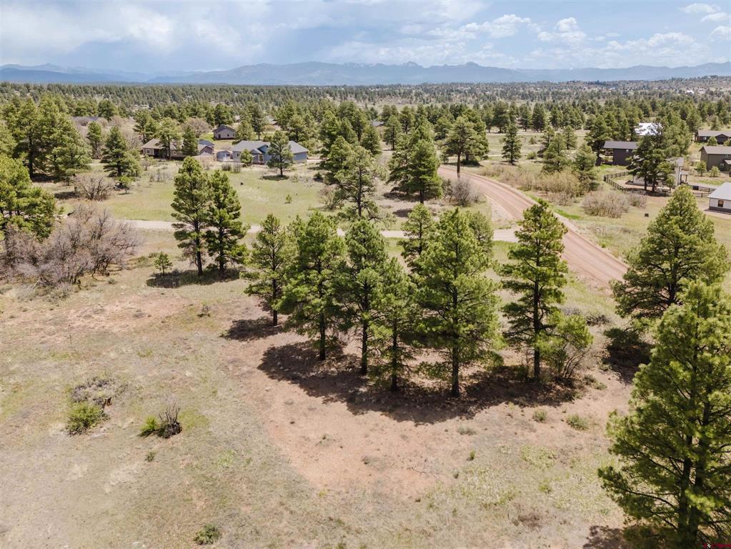 1305 Trails Boulevard Pagosa Springs CO 81147