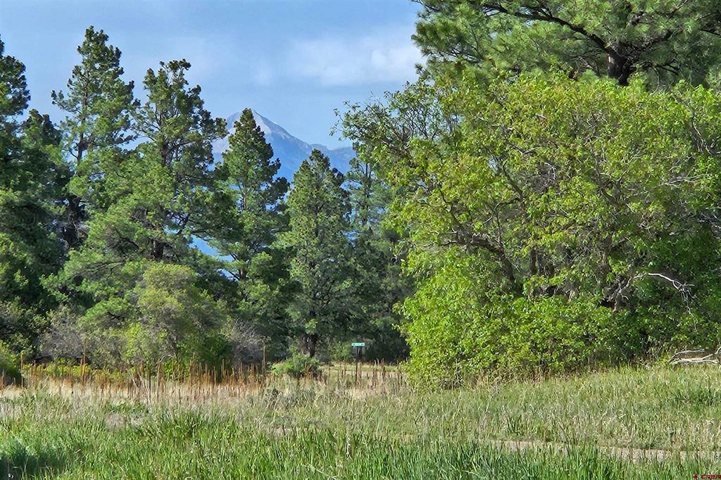 1305 Trails Boulevard Pagosa Springs CO 81147