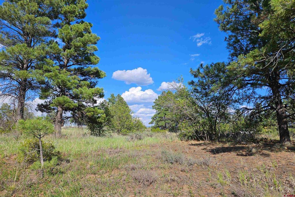 1305 Trails Boulevard Pagosa Springs CO 81147