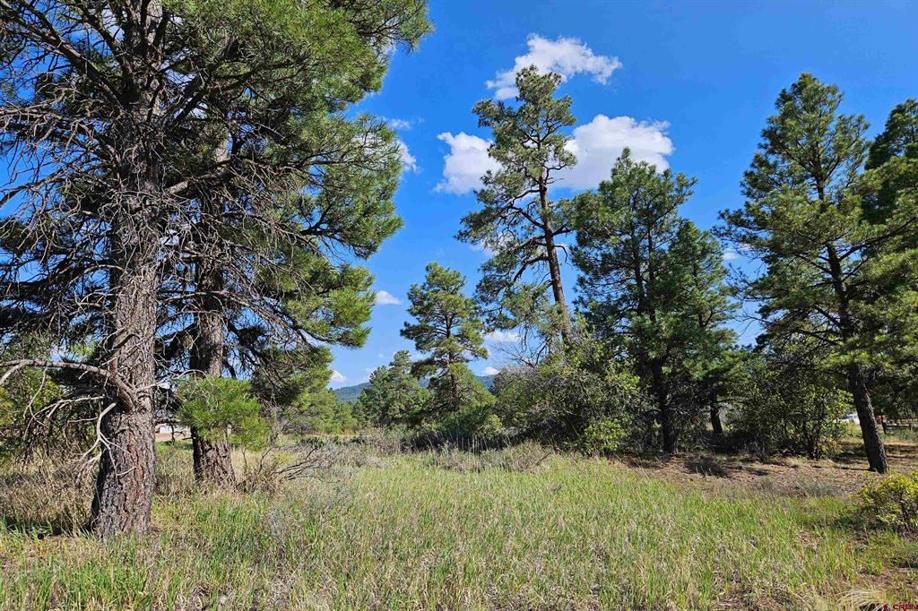 1305 Trails Boulevard Pagosa Springs CO 81147