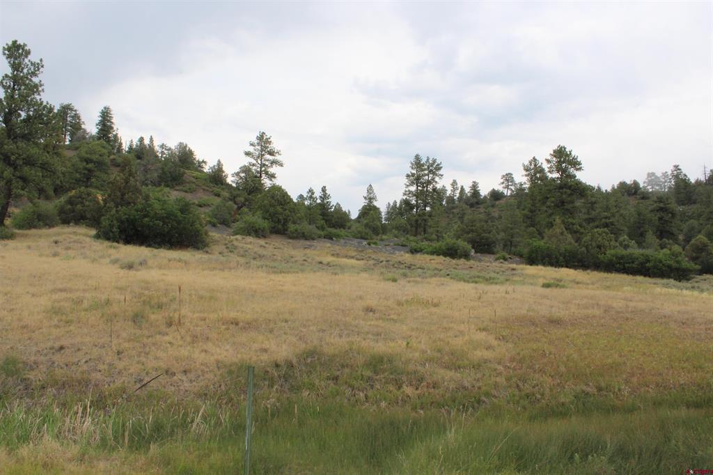 121 Elbert Place Pagosa Springs CO 81147