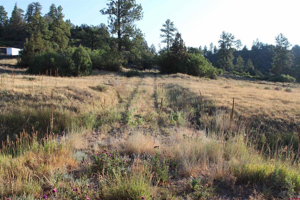 121 Elbert Place Pagosa Springs CO 81147