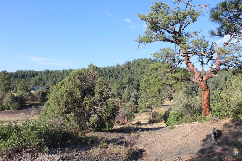 121 Elbert Place Pagosa Springs CO 81147