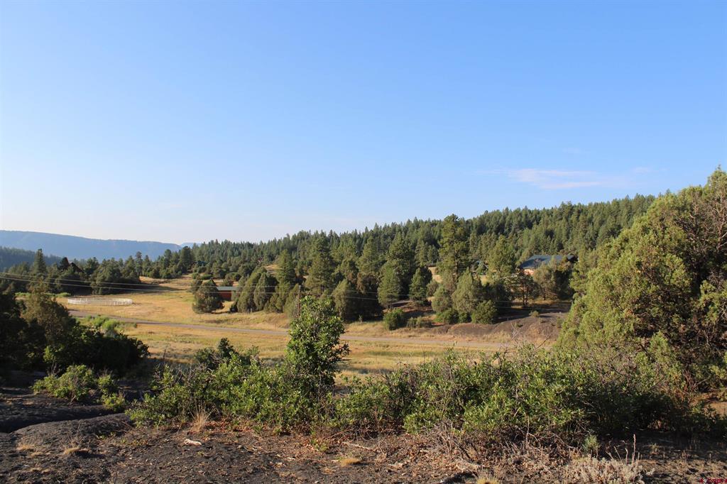 121 Elbert Place Pagosa Springs CO 81147