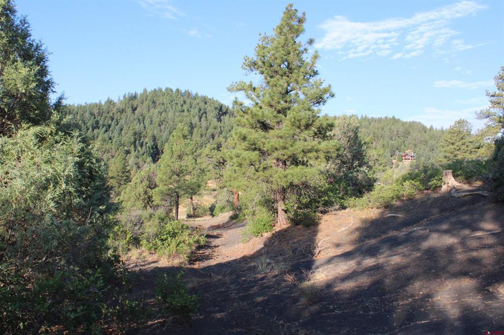 121 Elbert Place Pagosa Springs CO 81147