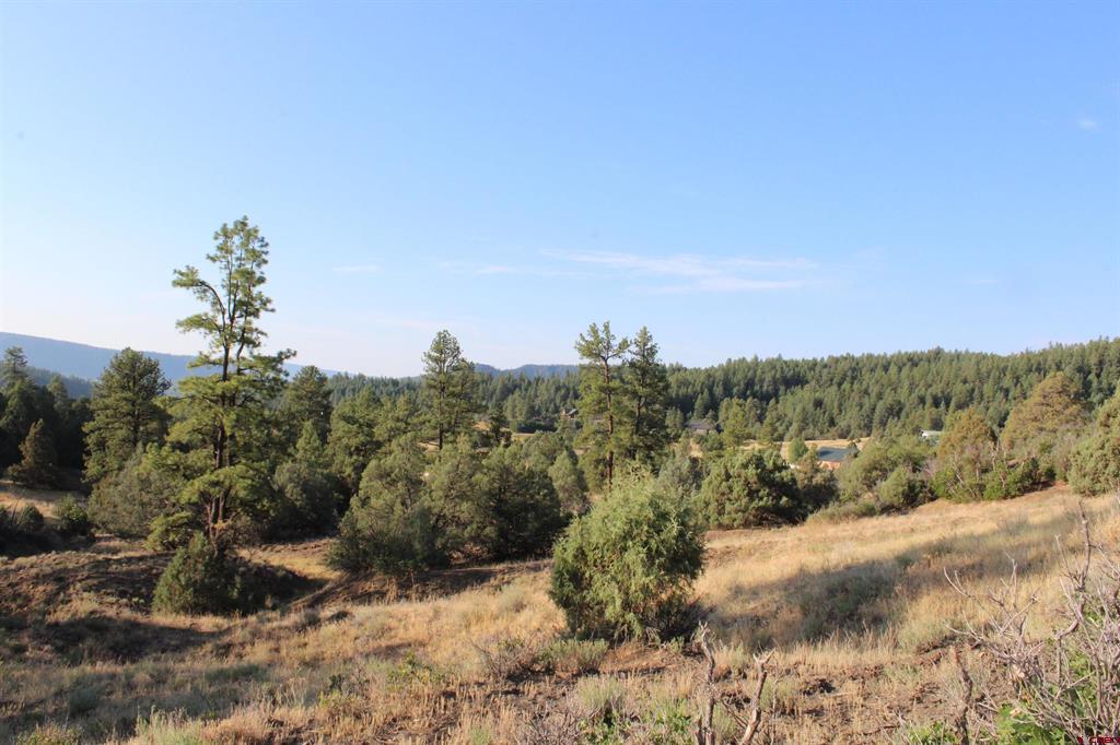121 Elbert Place Pagosa Springs CO 81147