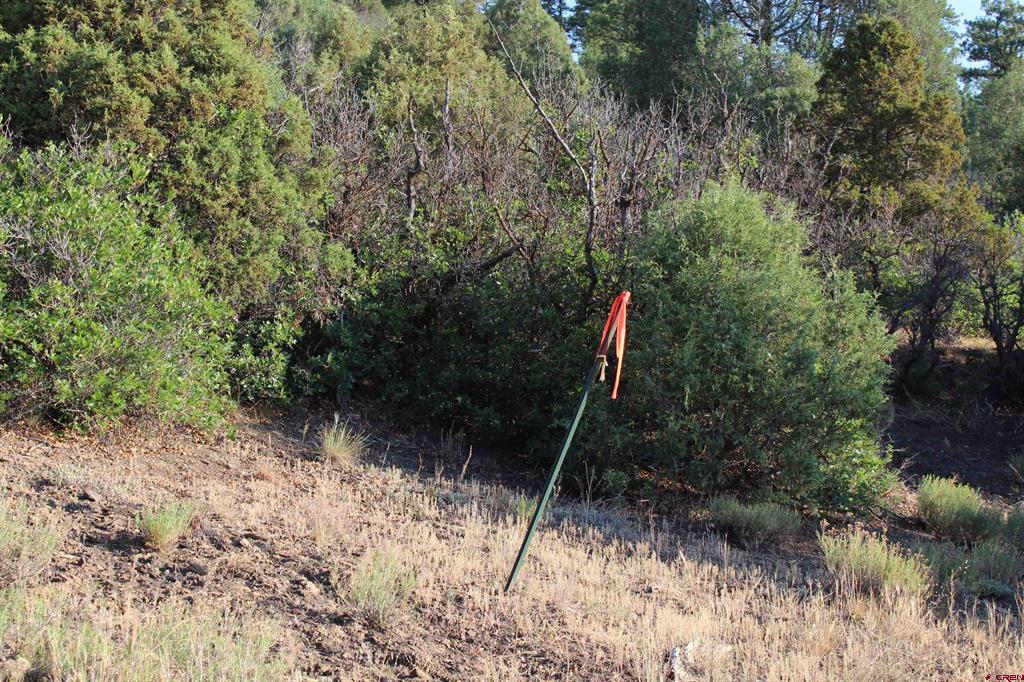 121 Elbert Place Pagosa Springs CO 81147