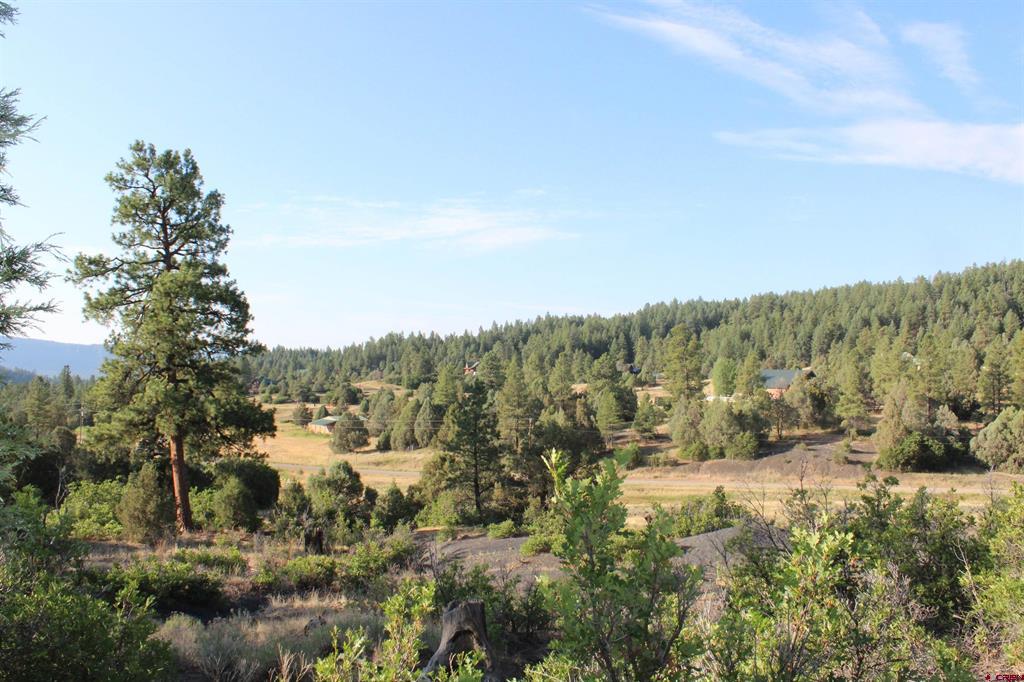 121 Elbert Place Pagosa Springs CO 81147