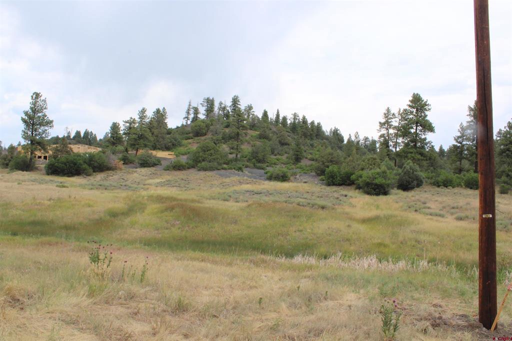 121 Elbert Place Pagosa Springs CO 81147