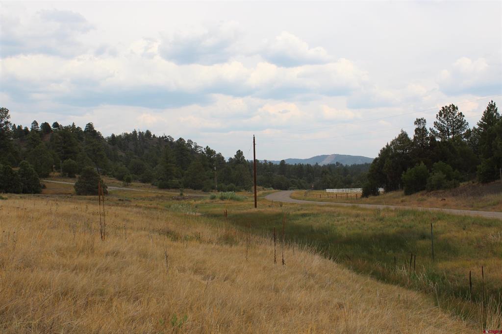121 Elbert Place Pagosa Springs CO 81147