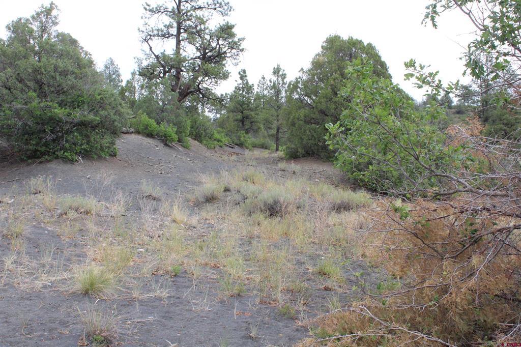 121 Elbert Place Pagosa Springs CO 81147