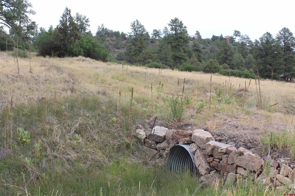 121 Elbert Place Pagosa Springs CO 81147