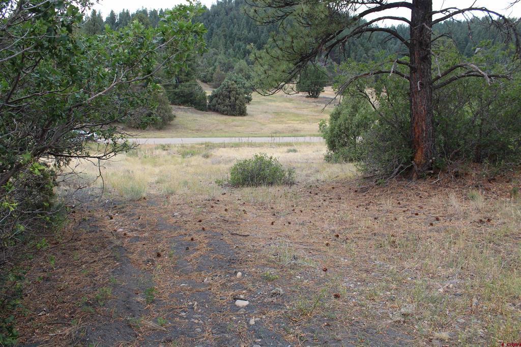 121 Elbert Place Pagosa Springs CO 81147