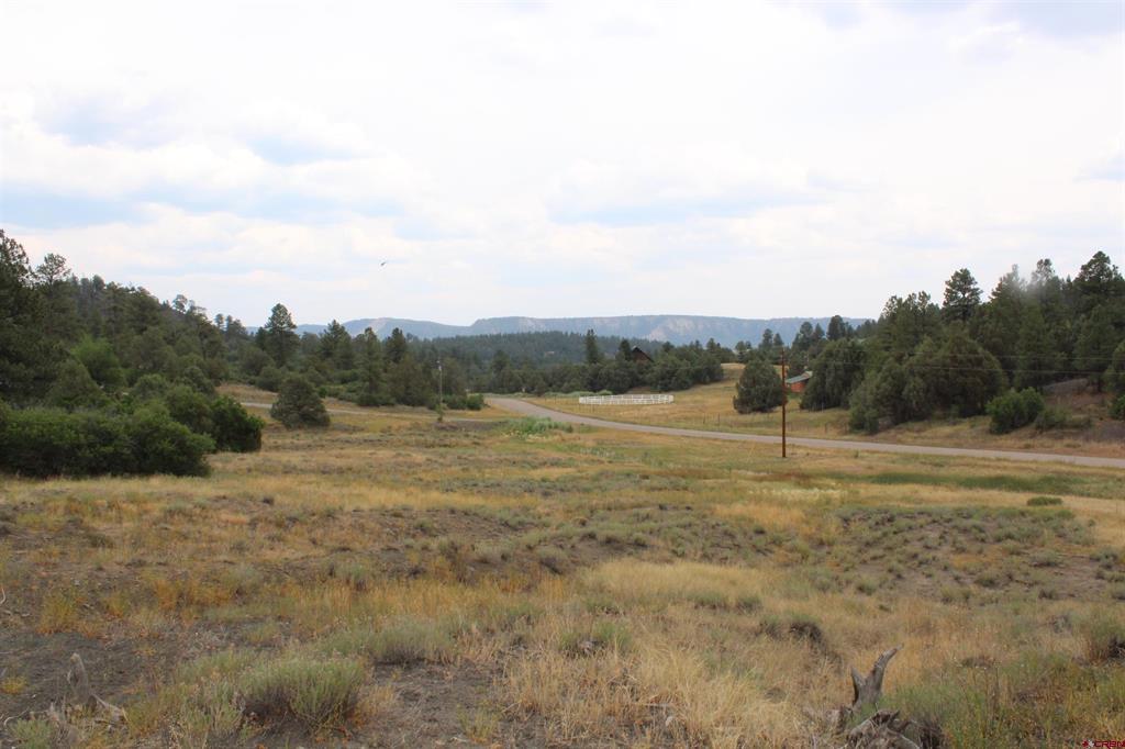 121 Elbert Place Pagosa Springs CO 81147