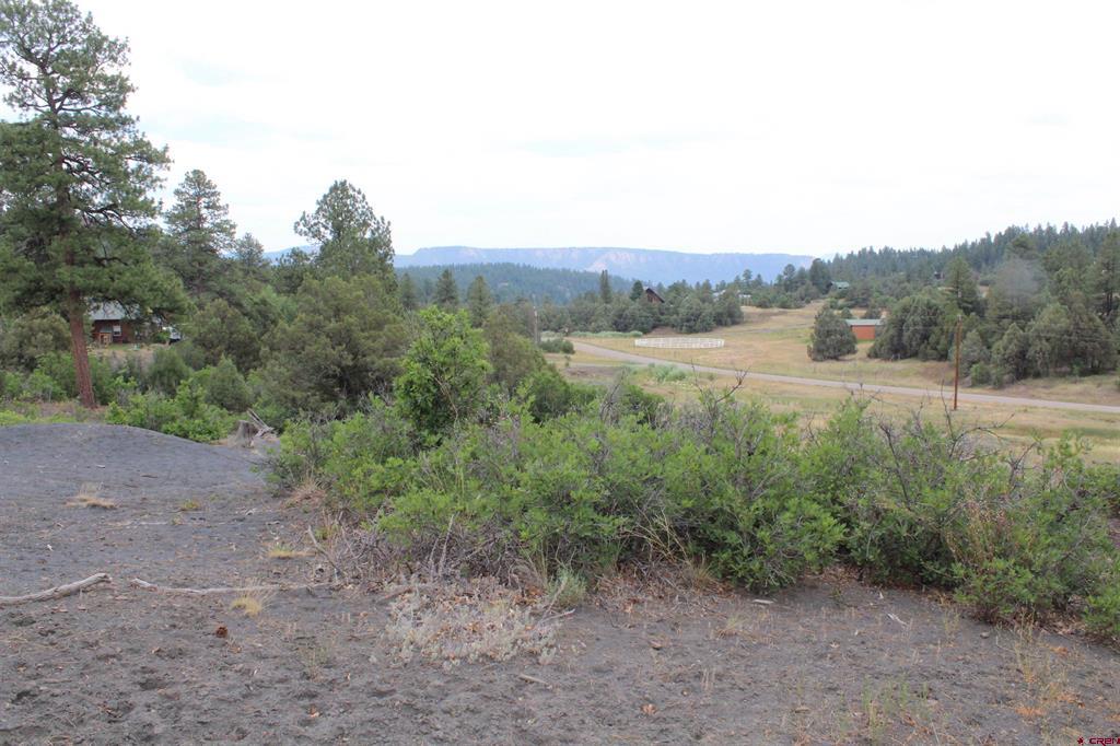 121 Elbert Place Pagosa Springs CO 81147