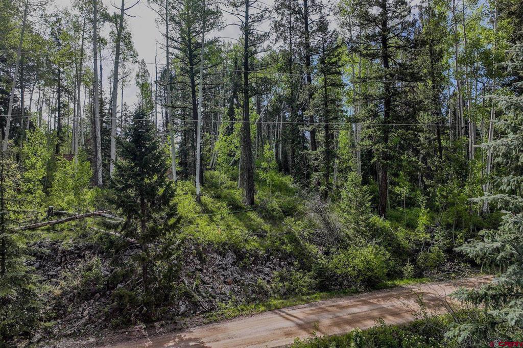 302 Beaver Circle Durango CO 81301