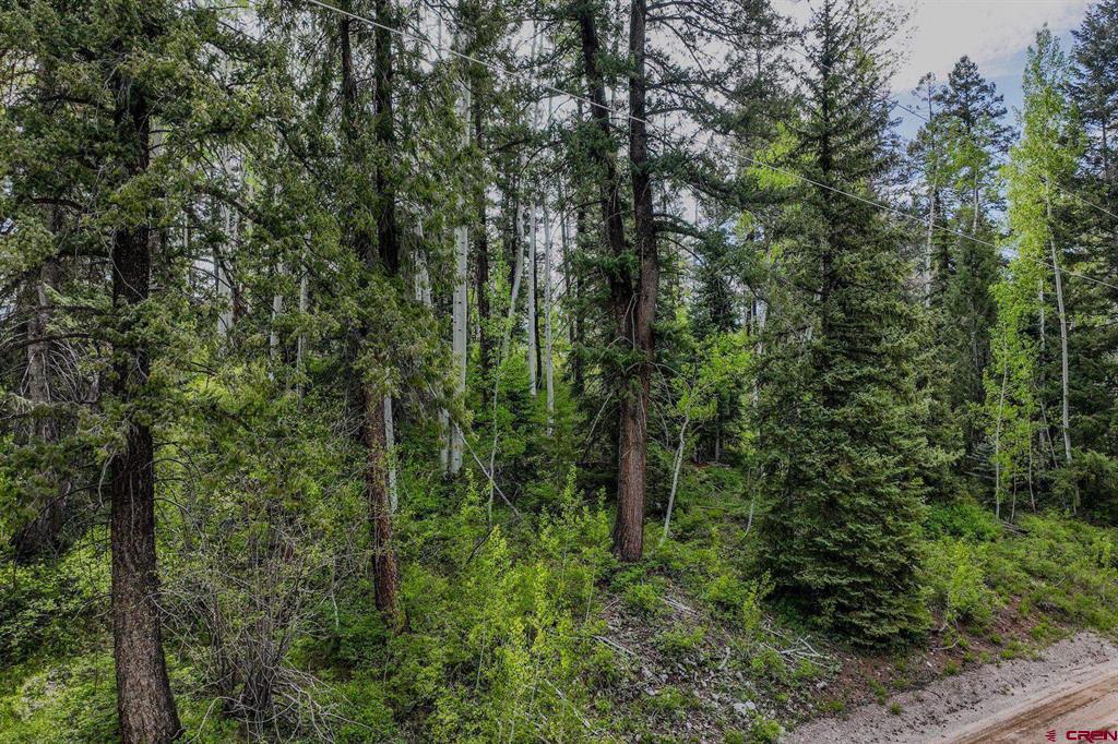 302 Beaver Circle Durango CO 81301