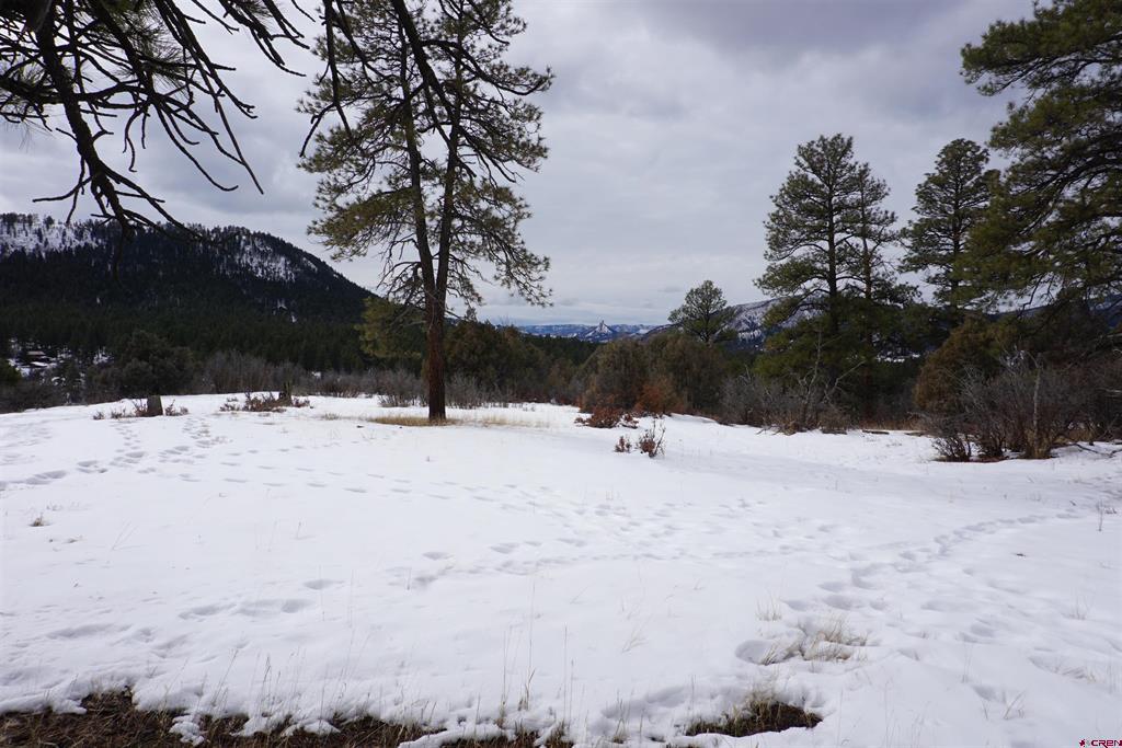 941 975,995 & 1027 Hurt Drive Pagosa Springs CO 81147