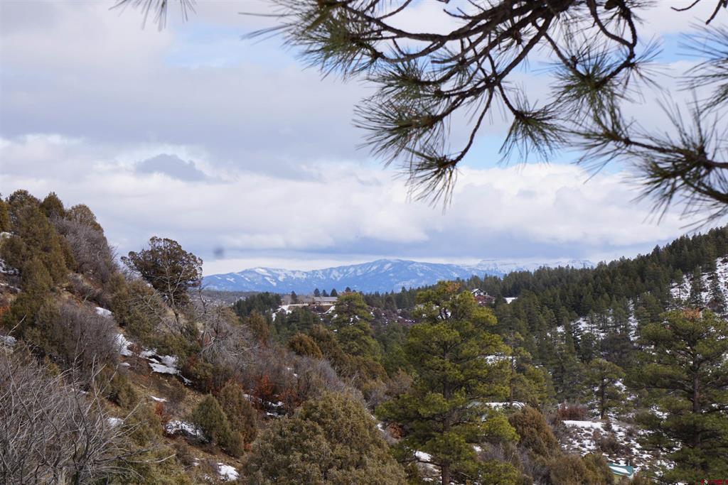 941 975,995 & 1027 Hurt Drive Pagosa Springs CO 81147