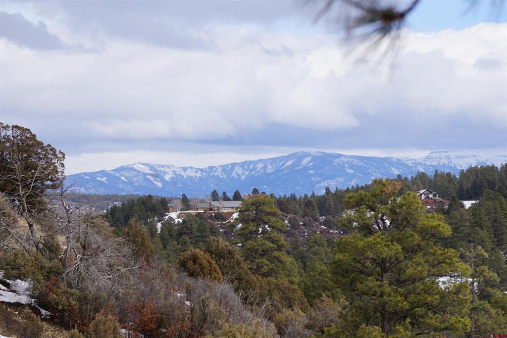 941 975,995 & 1027 Hurt Drive Pagosa Springs CO 81147
