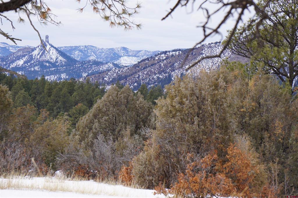 941 975,995 & 1027 Hurt Drive Pagosa Springs CO 81147