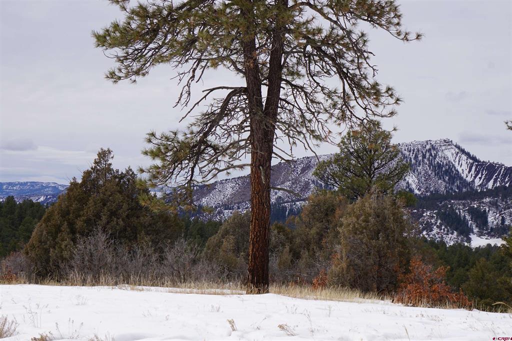 941 975,995 & 1027 Hurt Drive Pagosa Springs CO 81147