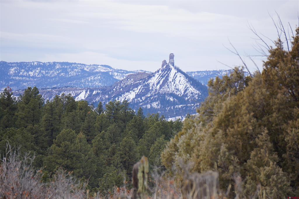 941 975,995 & 1027 Hurt Drive Pagosa Springs CO 81147