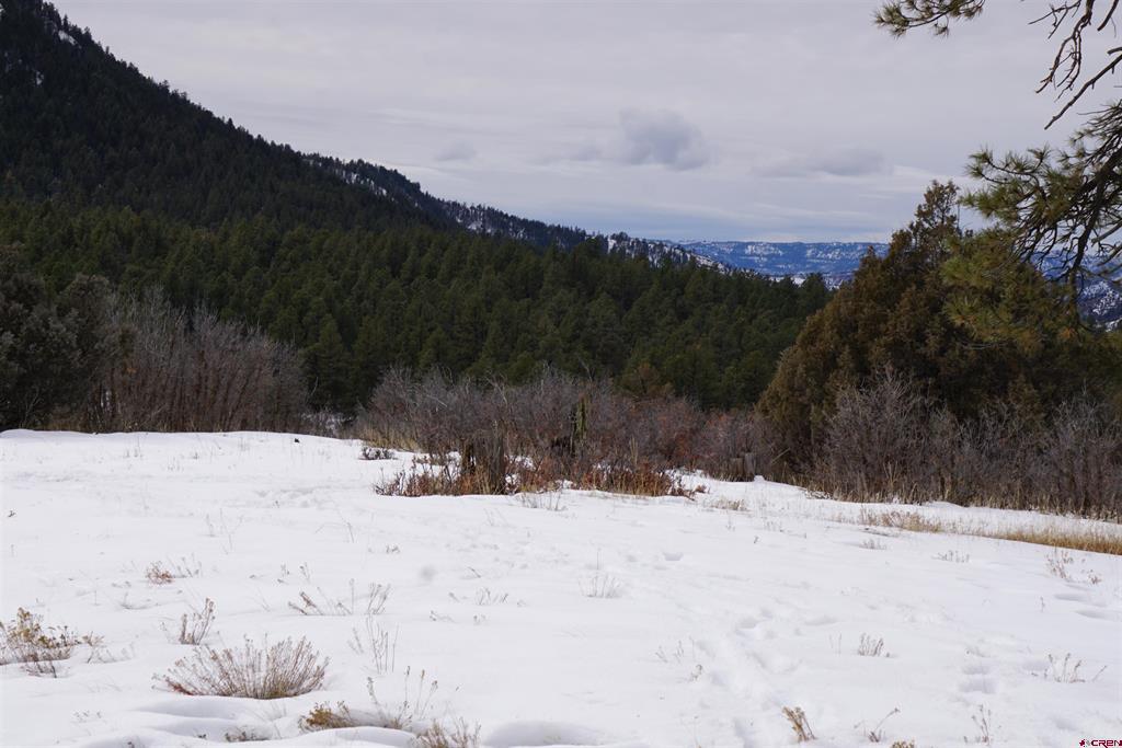 941 975,995 & 1027 Hurt Drive Pagosa Springs CO 81147