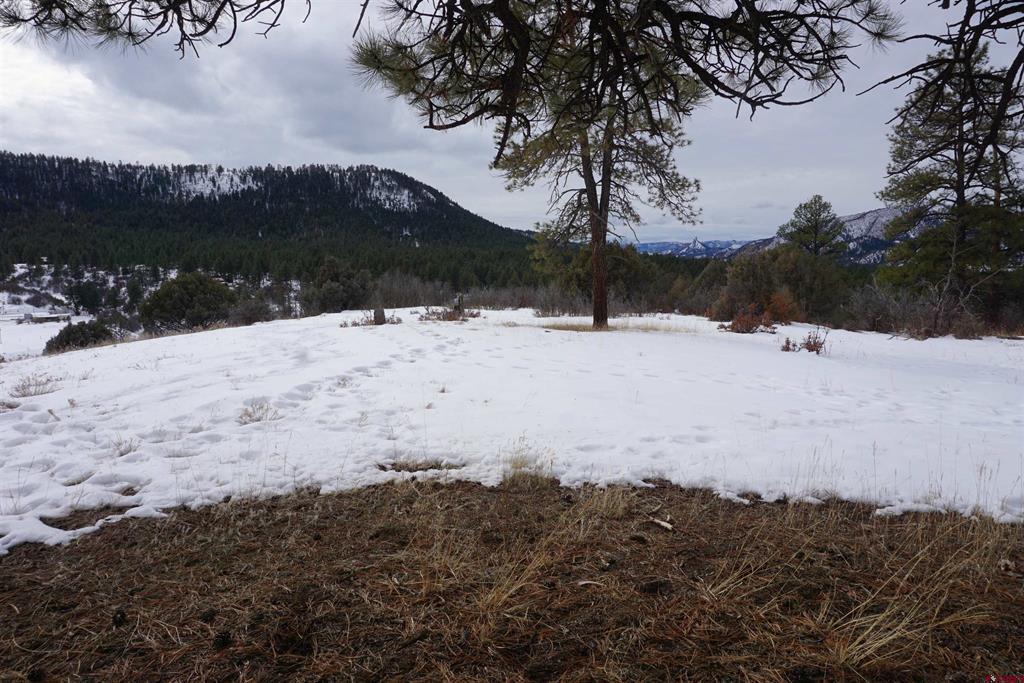941 975,995 & 1027 Hurt Drive Pagosa Springs CO 81147