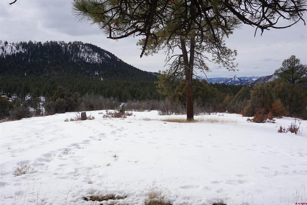 941 975,995 & 1027 Hurt Drive Pagosa Springs CO 81147