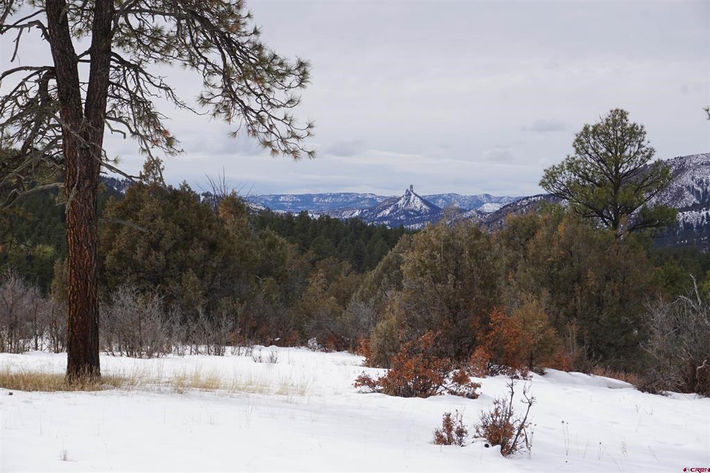 941 975,995 & 1027 Hurt Drive Pagosa Springs CO 81147