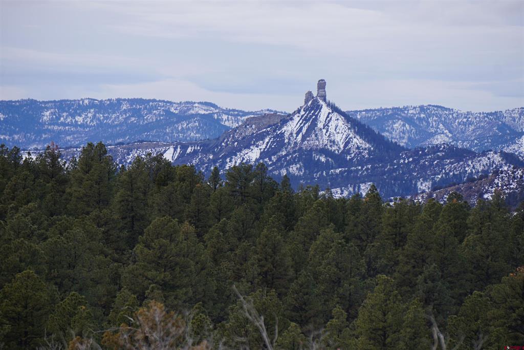 941 975,995 & 1027 Hurt Drive Pagosa Springs CO 81147